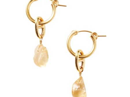 Chan Luu Citrine & Gold Theta Hoops on Sale