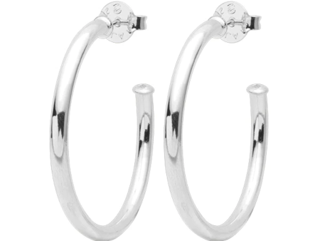 Sheila Fajl Petite Everybody s Favorite Hoops Polished Silver Sale